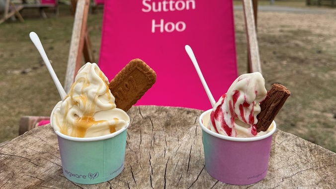 Two tubs of soft serve vanilla ice cream with toffee sauce and a biscoff biscuit and raspberry sauce perched on top of a wooden log with a bright pink deck chair behind it with the National Trust oak leaf and Sutton Hoo written on it